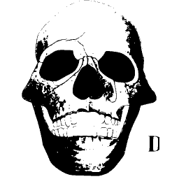 Human skull from the front