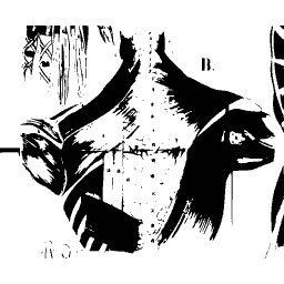 Muscles of the back and shoulder