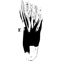 Tooth root with its fibrous sheath