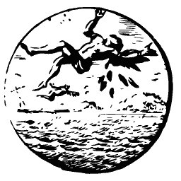 Figure falling from the sky