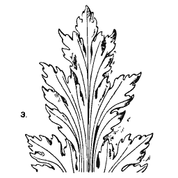 Acanthus palmette 02