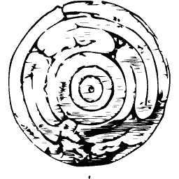 Concentric ring disc
