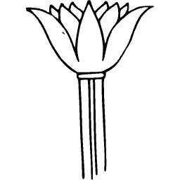Lotus capital 01