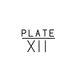 Scientific plate number 10