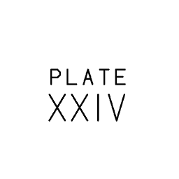 Scientific plate number 11