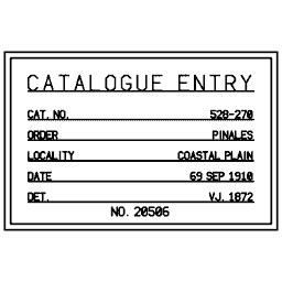 Specimen label 01