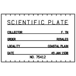 Specimen label 16