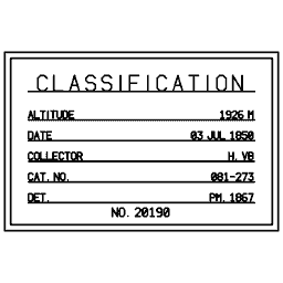 Specimen label 17