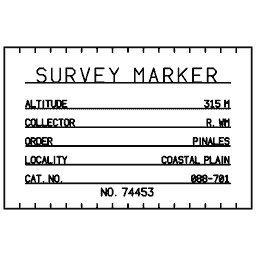 Specimen label 19