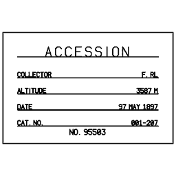 Specimen label 25