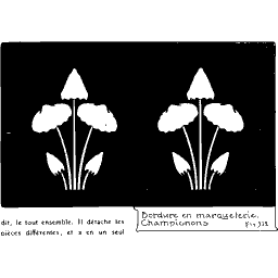 Mushroom border design 02 - Étude de la Plante - 1903