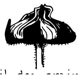 Stylised flower head - Étude de la Plante - 1903