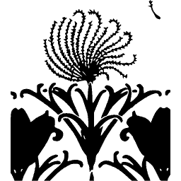 Stylised flower ornament 02 - Étude de la Plante - 1903