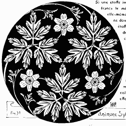 Floral roundel design