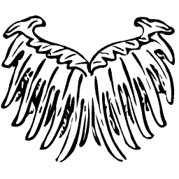 Pair of eagle wings