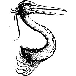Pelican 02