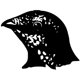 Head of a dark bird