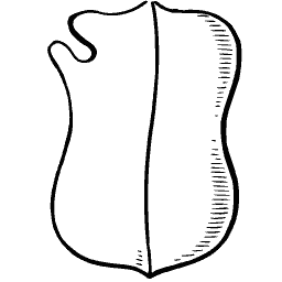 Plain scrolled shield outline