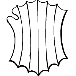 Fluted tournament shield outline