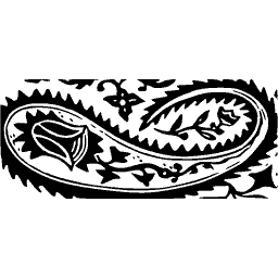 Paisley border panel