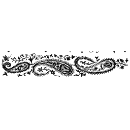 Paisley border strip