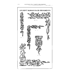 Floral page border