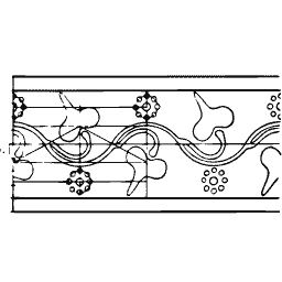 Foliate border strip 02