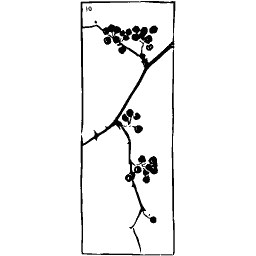 Berry branch panel