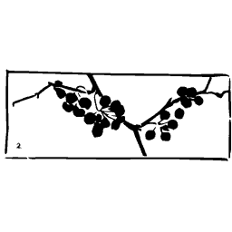 Berry branch in wide frame
