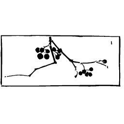 Berried branch in wide frame