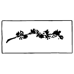 Low leaf spray in wide frame