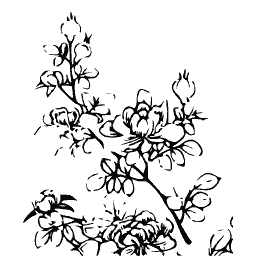Blossom branch 01