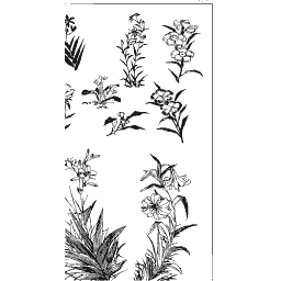 Plant study panel