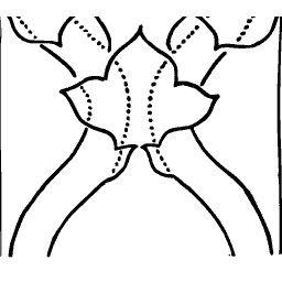 Outlined tulip
