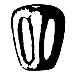 Pollen grain with two furrows