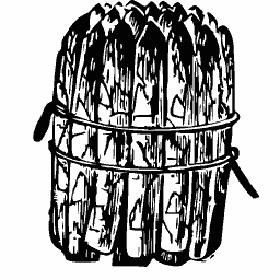 Bunch of asparagus
