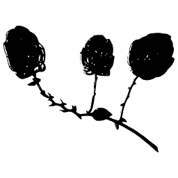 Fruiting stem