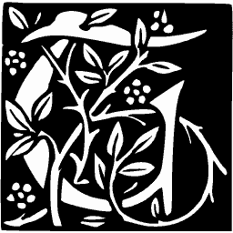 Leafy initial H