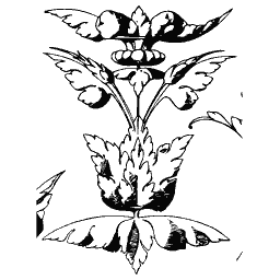 Lotus palmette