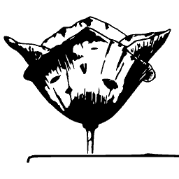 Stylised poppy 02 - Étude de la Plante - 1903