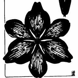 Stylised lily - Étude de la Plante - 1903