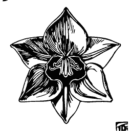 Stylised daffodil