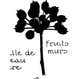 Fruiting stem silhouette