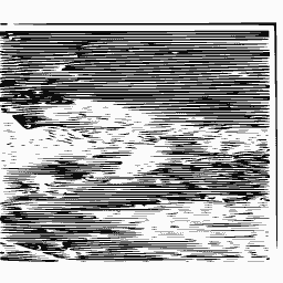 Solar surface detail