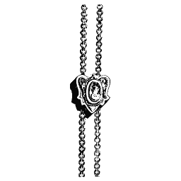 Watch guard chain