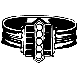 Ring 02