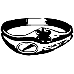 Ring 09