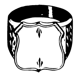 Ring 13