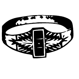 Ring 21