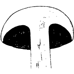 Mushroom in section